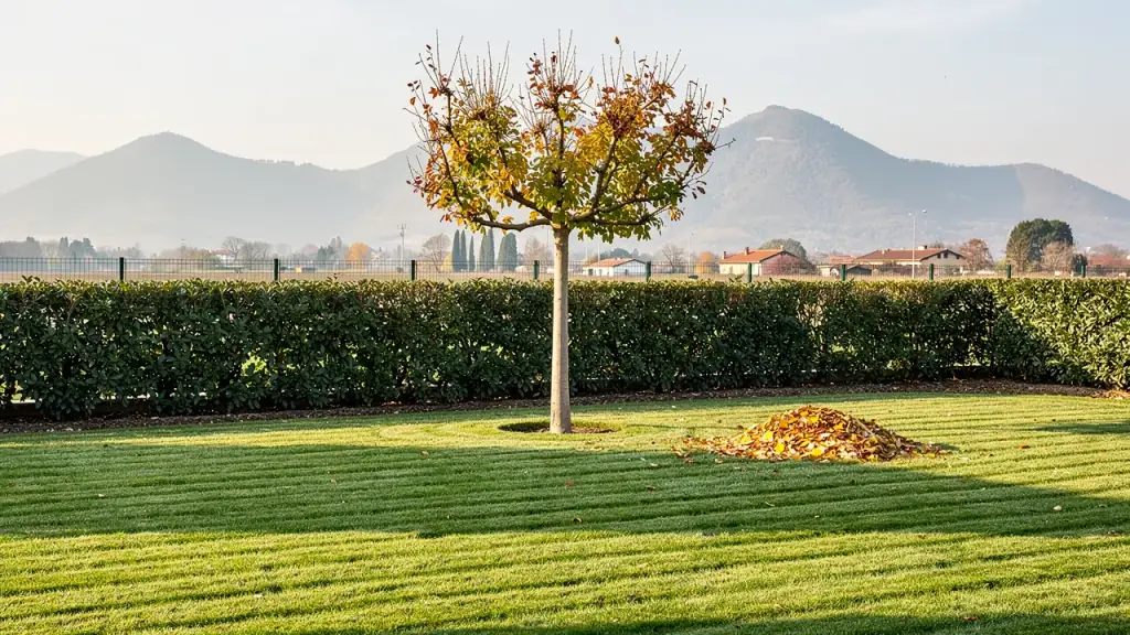 Giardinaggio e cura del verde